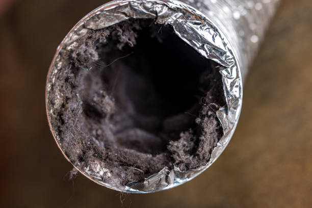 Best HVAC Duct Inspection Services  in Russellville, AR